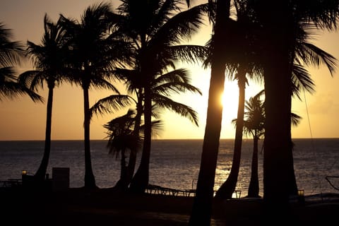 On the beach, sun loungers, beach umbrellas, beach towels