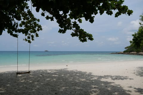 On the beach, beach bar