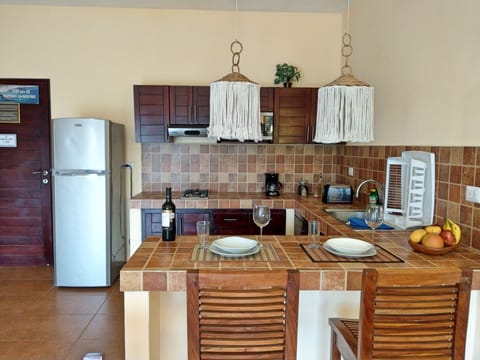 Premium Apartment, 1 Bedroom, Balcony, City View | Private kitchen | Fridge, coffee/tea maker, toaster, blender