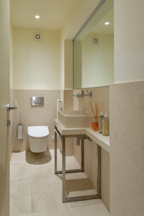 Deluxe Suite | Bathroom | Shower, free toiletries, hair dryer, slippers