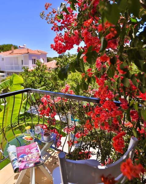 Double or Twin Room | Balcony