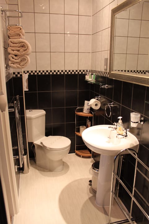 Deluxe Double Room | Bathroom amenities | Shower, free toiletries, hair dryer, towels