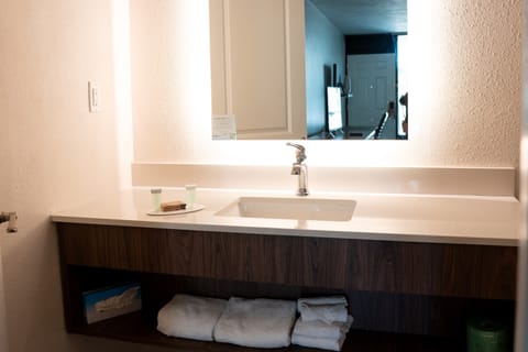 Business Room, 1 King Bed, Non Smoking | Bathroom | Combined shower/tub, free toiletries, hair dryer, towels