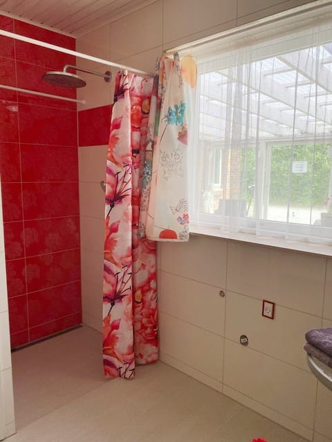 Standard Double Room, Private Bathroom | Bathroom | Shower, rainfall showerhead, hair dryer, towels