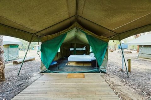 Eco Safari Tent- Sleeps 4 | Terrace/patio