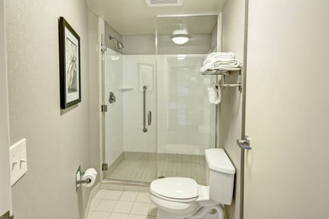 Combined shower/tub, free toiletries, hair dryer, towels