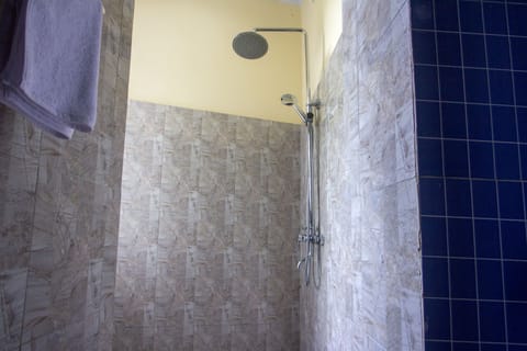 Deluxe Double Room | Bathroom shower