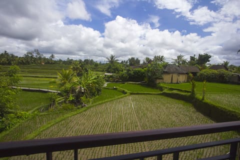 Deluxe Double Room | View from room