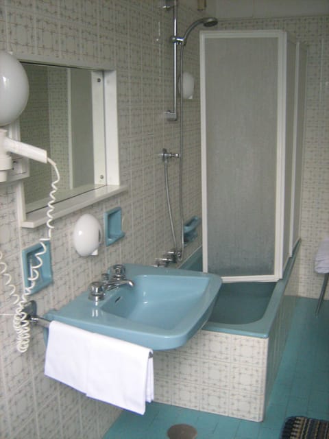 Shower, free toiletries, hair dryer, bidet