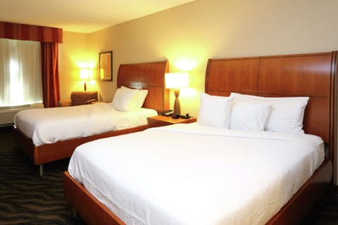 Deluxe Room | In-room safe, iron/ironing board, free cribs/infant beds, rollaway beds