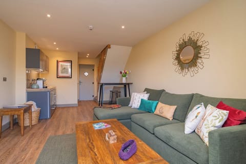 22-inch flat-screen TV with satellite channels, TV