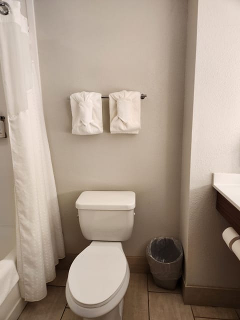 Combined shower/tub, free toiletries, hair dryer, towels