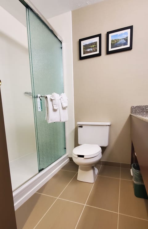 Combined shower/tub, free toiletries, hair dryer, towels