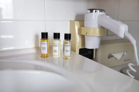 Double or Twin Room | Bathroom | Combined shower/tub, free toiletries, hair dryer, bathrobes