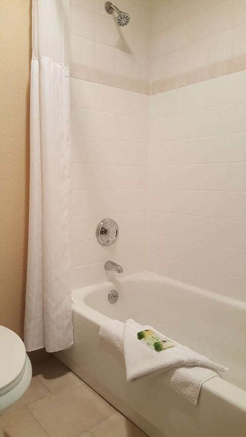 Combined shower/tub, hair dryer, towels