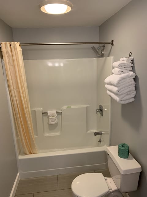 Combined shower/tub, free toiletries, hair dryer, towels