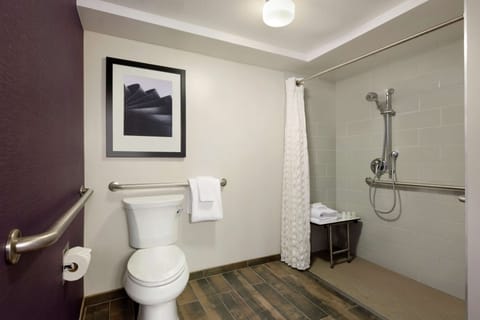 Suite, 1 King Bed, Accessible (Roll-in Shower) | Bathroom | Combined shower/tub, free toiletries, hair dryer, towels