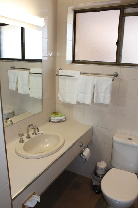 Combined shower/tub, free toiletries, hair dryer, towels