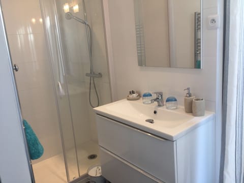 Deluxe Double Room (Gigaro) | Bathroom shower