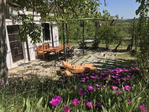 Traditional House, 2 Bedrooms, Mountain View, Courtyard Area | Terrace/patio