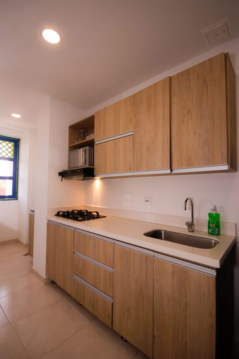 Panoramic Apartment | Private kitchen | Fridge, microwave, stovetop, cookware/dishes/utensils