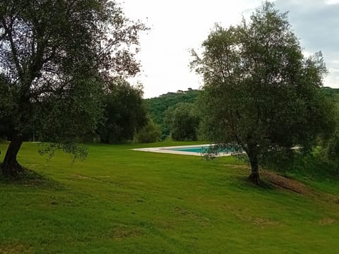 Seasonal outdoor pool, pool umbrellas, sun loungers