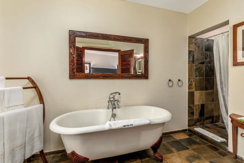 Superior Suite | Bathroom | Deep soaking tub, rainfall showerhead, designer toiletries, hair dryer