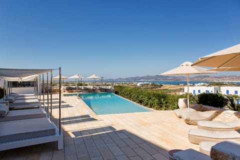 Outdoor pool, pool umbrellas, sun loungers