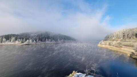 Superior Double Room, Patio, Lake View (Hauptgebäude) | View from room