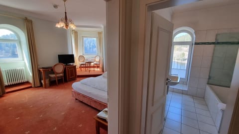 Superior Double Room, Lake View (Hauptgebäude) | Living area | Flat-screen TV