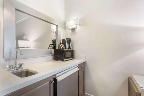 Deluxe Room, 1 King Bed, Non Smoking, Refrigerator (Shower Only) | Desk, laptop workspace, iron/ironing board, free cribs/infant beds