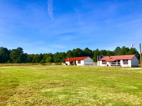 Cabin, 3 Bedrooms | Terrace/patio