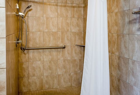 Combined shower/tub, free toiletries, hair dryer, towels