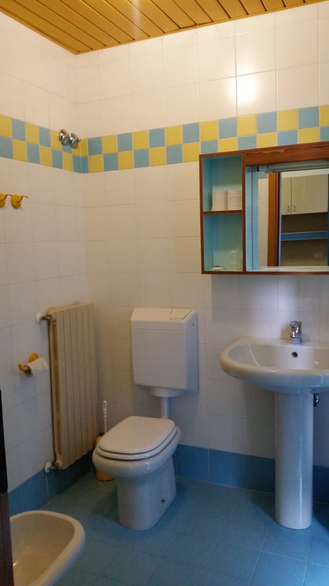 Shower, bidet, towels