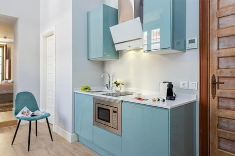 Deluxe Apartment | Private kitchen | Full-size fridge, microwave, stovetop, electric kettle