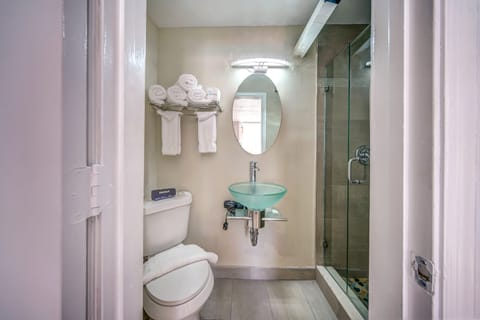 Small Queen Room | Bathroom | Shower, hydromassage showerhead, free toiletries, hair dryer