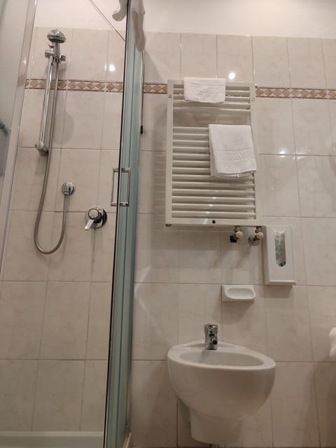 Shower, free toiletries, hair dryer, bidet