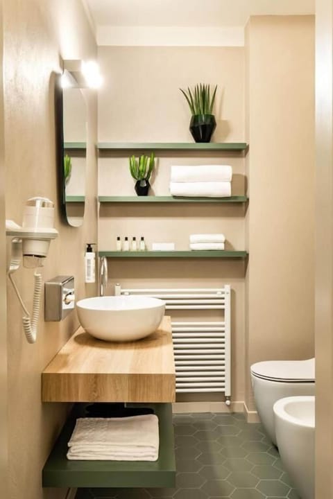 Hair dryer, bathrobes, slippers, bidet