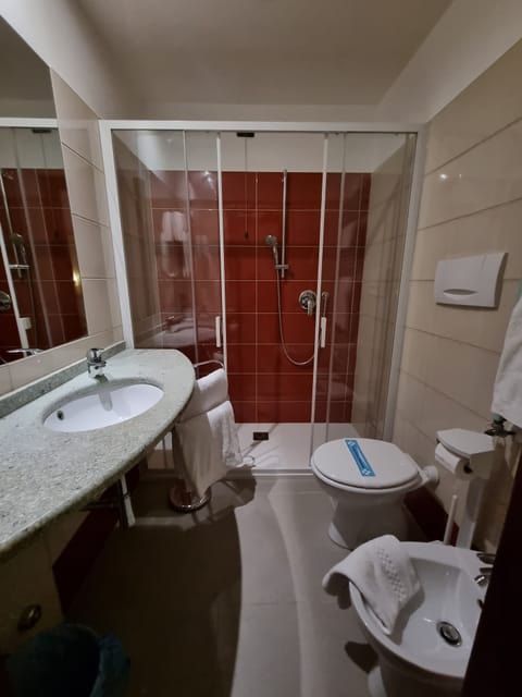 Free toiletries, hair dryer, bidet, towels