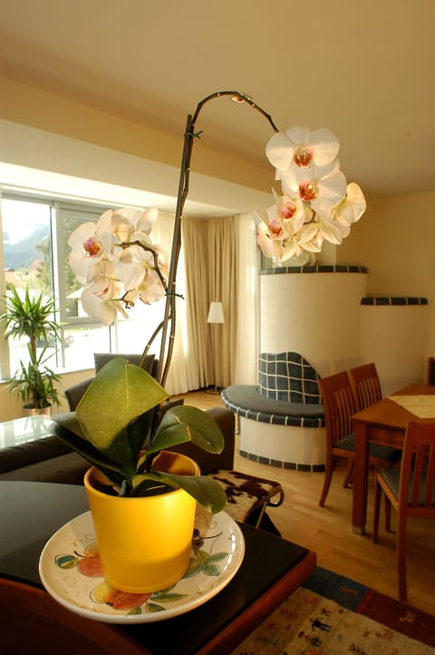 Standard Apartment (Typ A) | Living area | 42-inch LED TV with cable channels, TV, heated floors