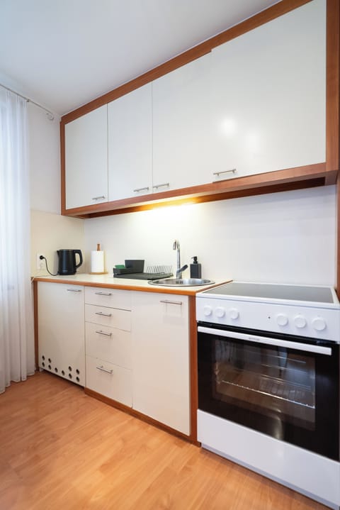 Standard Apartment, City View | Private kitchen | Fridge, oven, stovetop, cookware/dishes/utensils
