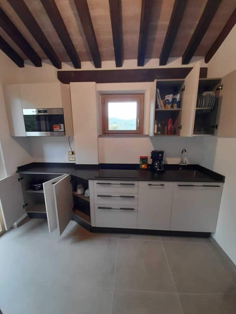 Classic Apartment | Private kitchen | Fridge, microwave, stovetop