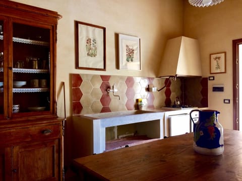 Family Apartment, Terrace | Private kitchen