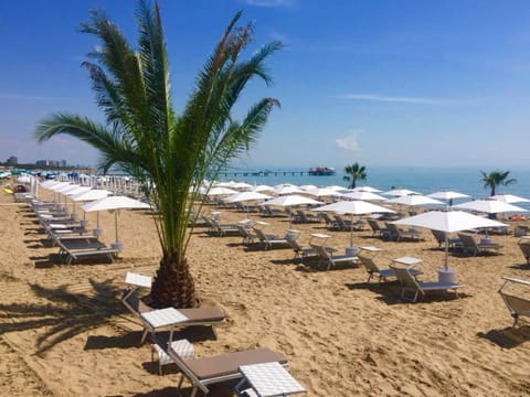 White sand, sun loungers, beach umbrellas, 3 beach bars