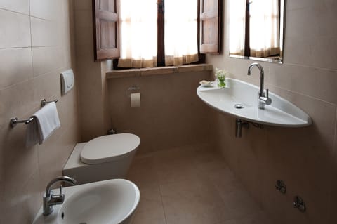 Shower, free toiletries, hair dryer, bidet