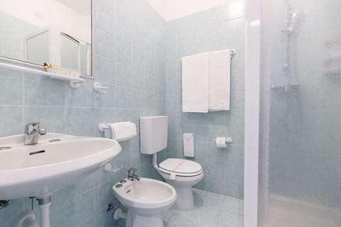 Shower, free toiletries, hair dryer, bidet