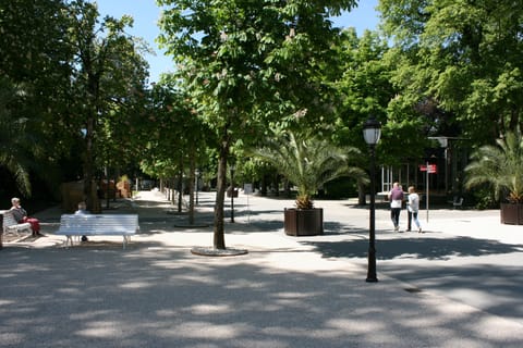 Premium Double Room | View from room