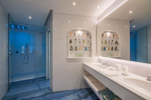 Suite (252) | Bathroom | Shower, rainfall showerhead, free toiletries, hair dryer