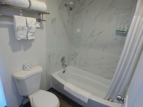 Standard Room, 1 King Bed | Bathroom | Combined shower/tub, hair dryer, towels, soap