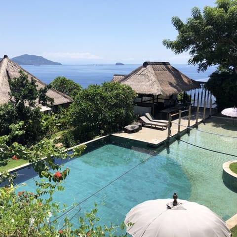 Outdoor pool, sun loungers